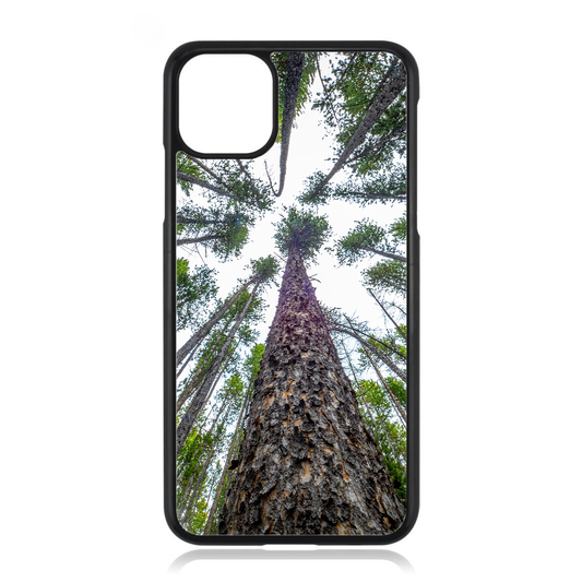 Redwood Forest Trees iPhone Case